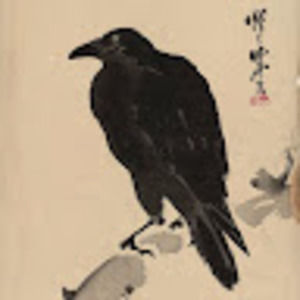 Meet your Posher, Raven